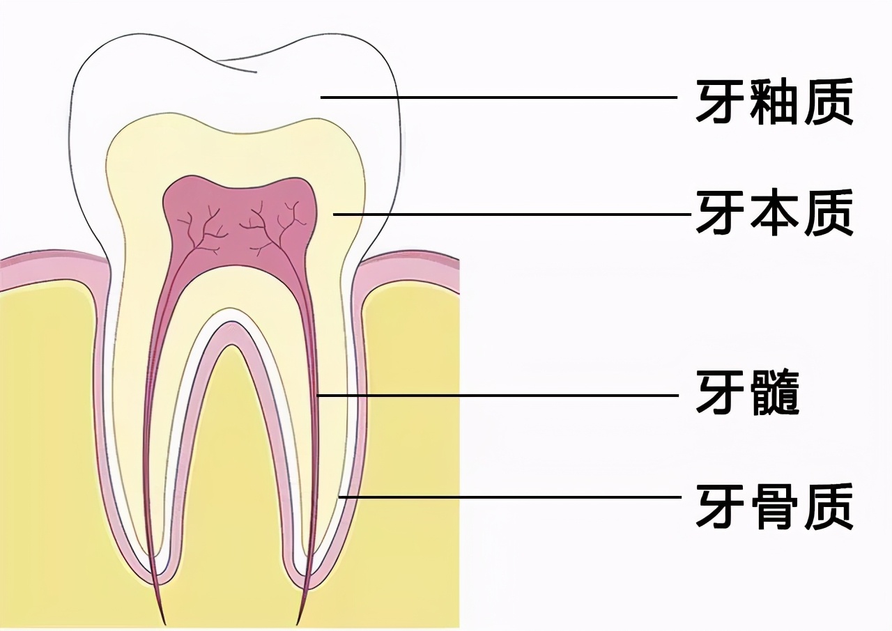 牙齿美白六种实用方法,牙齿美白的三种新方法