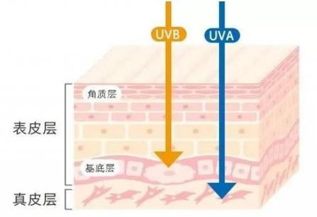 脖子被太阳晒黑了怎么才能变白,被太阳晒黑怎样变白女生