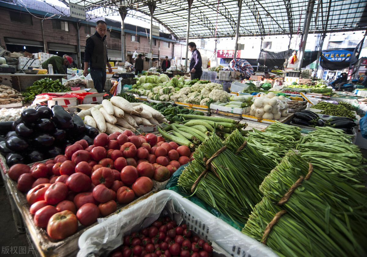 蒜苔价格快速涨价原因,今日蒜苔价格下跌了吗