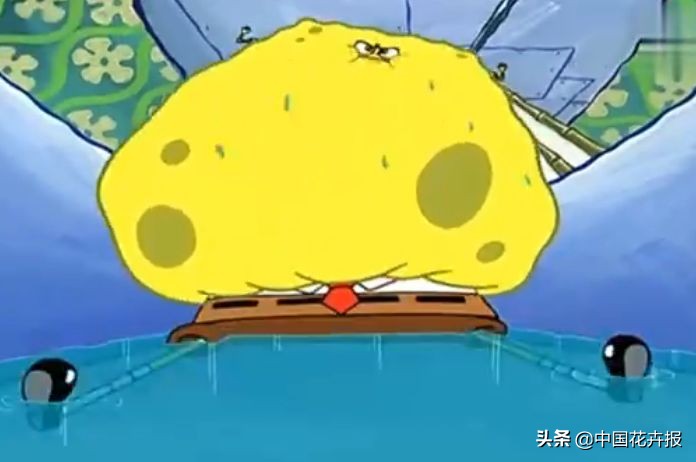 从小就觉得面包树上结的是“面包”？你只差一个亲眼看看的机会