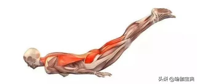 男士练瑜伽力量与韧性的完美结合,锻炼身体的瑜伽简单动作男人