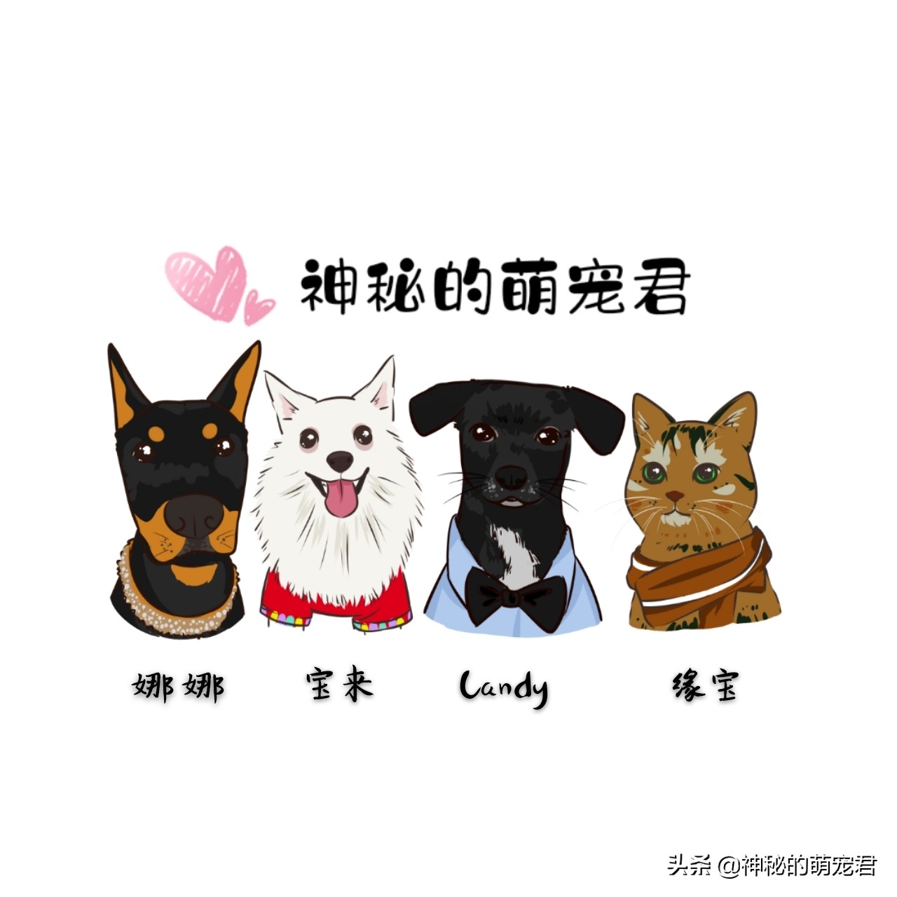 什么逗猫棒猫咪会玩,怎么做猫咪玩的逗猫棒