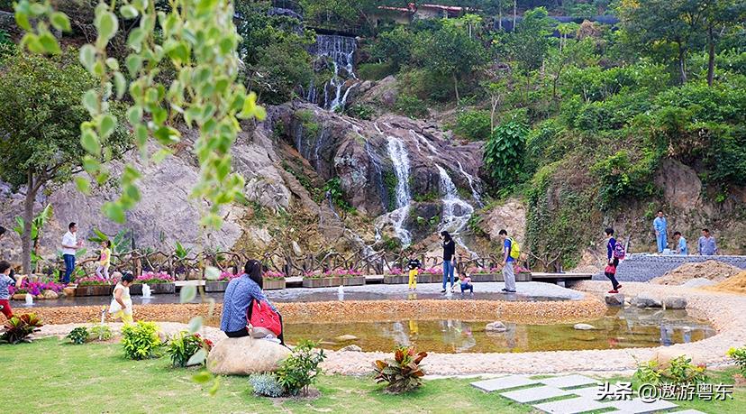 深圳南山区青青世界视频,青青世界深圳热带雨林