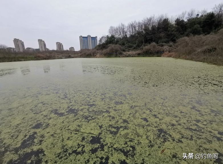 路亚黑鱼雷强竿为什么抛不远,路亚黑鱼要打什么漂