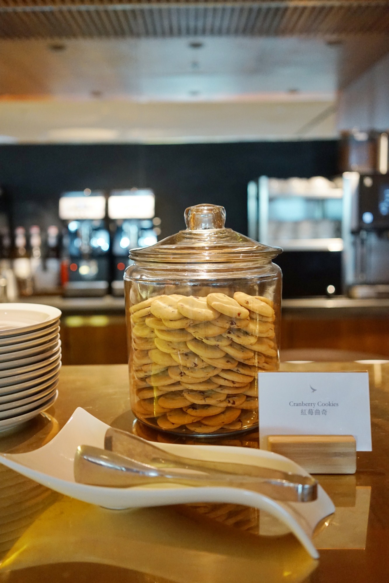 一定是特别的缘分——帕劳,再遇见「周若雪Patty」·上