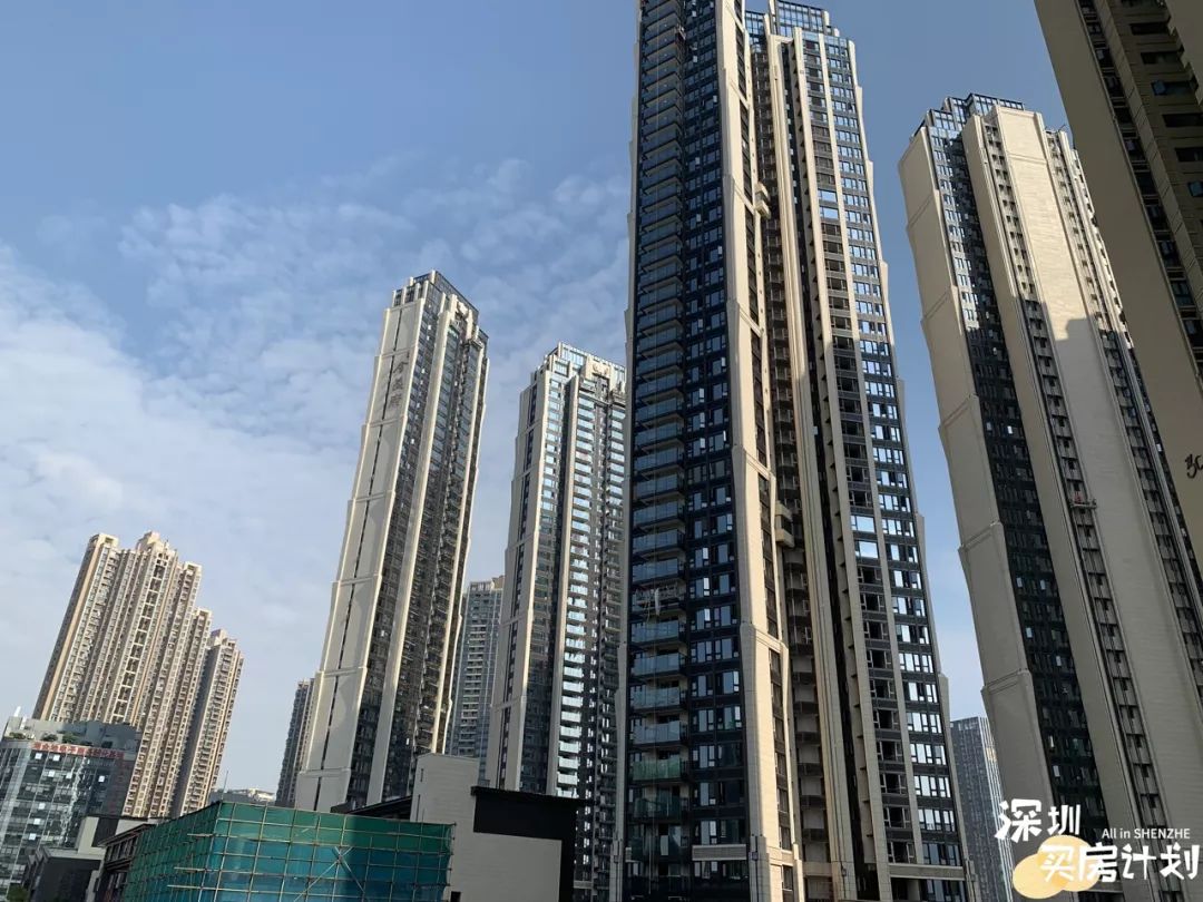 龙华金茂府185平米精装样板间,龙华区金茂府户型图