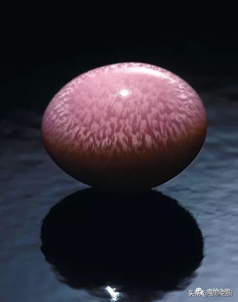 智识珍珠08|海螺珠：诞生于深海的火焰