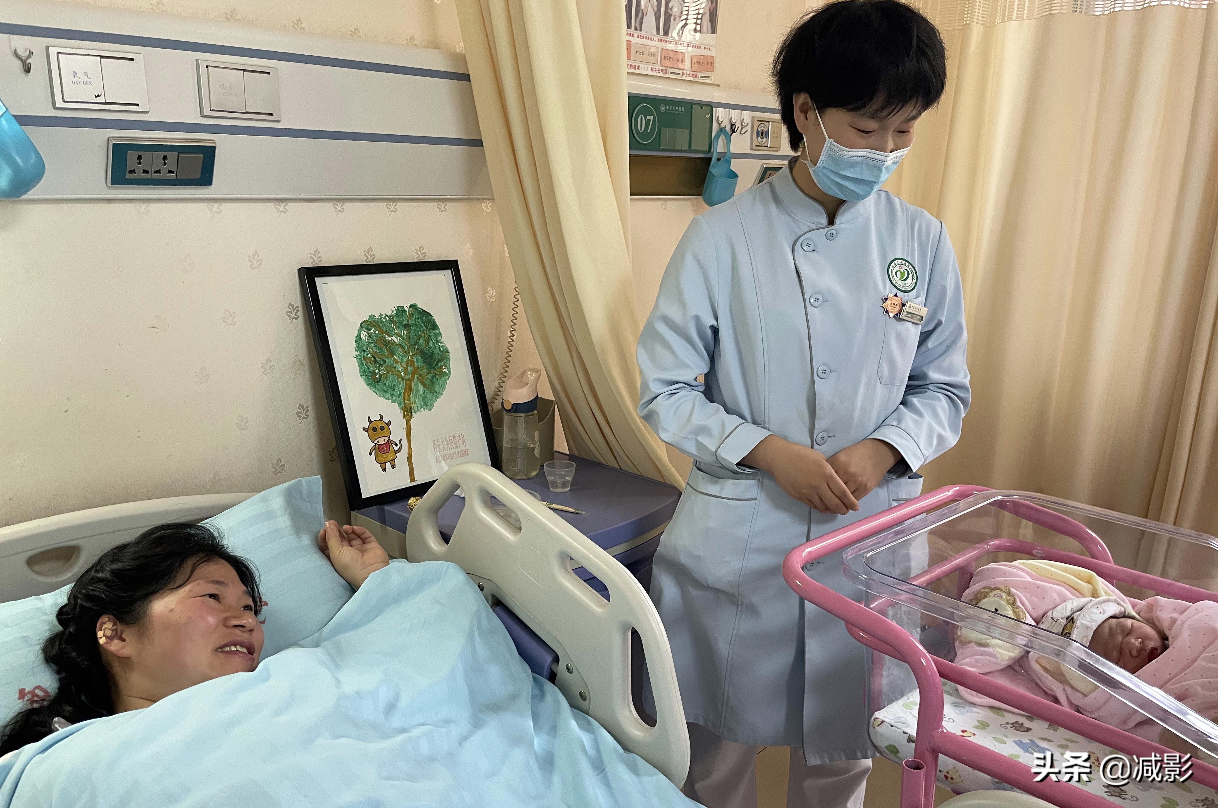 护士用胎盘作画，绘成“生命树”免费送新生儿父母