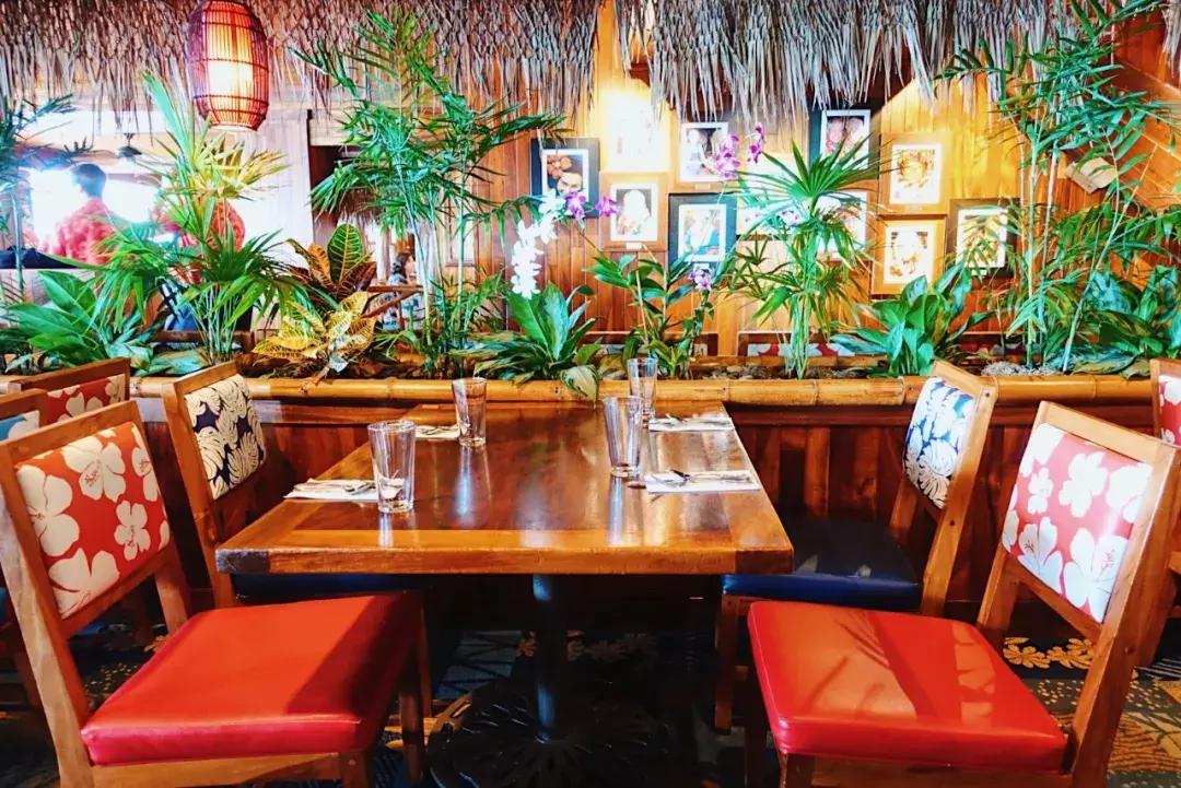 在吸引村上春树买房养老的海岛呆3天，马代帕劳在我心里降到第二