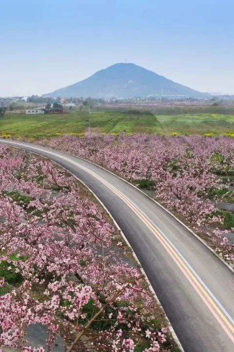 江苏无锡十强镇排名,无锡上榜中国最具幸福感城市