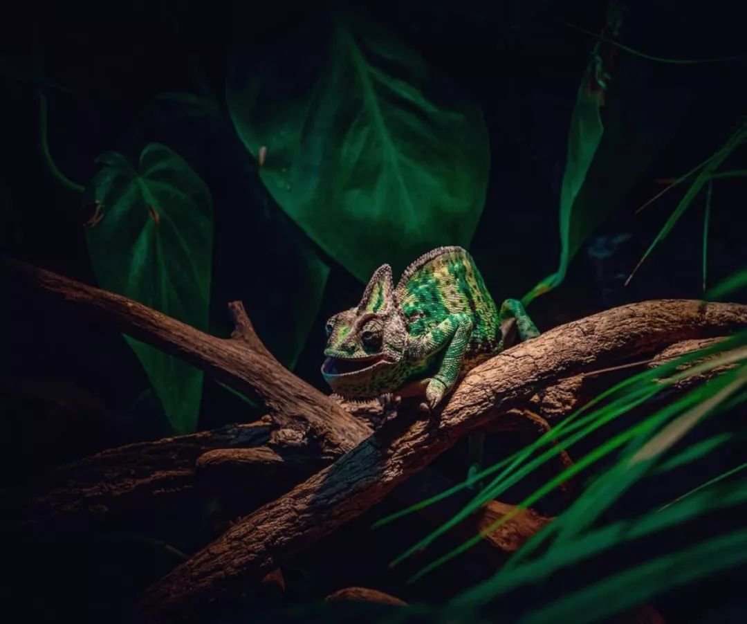 十个小时玩转迪拜,玩转迪拜与阿布扎比