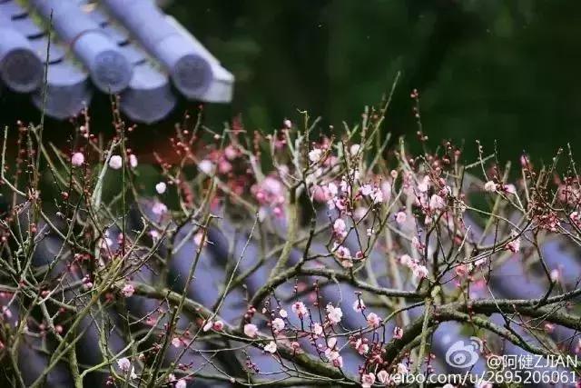 园林卡休闲卡,园林卡苏州市民卡