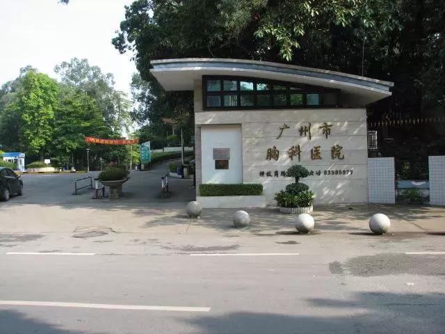 胸科医院招聘信息,广州胸科医院招聘护理