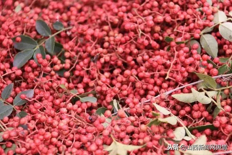 长治市旅游村,长治古村落岳家寨村