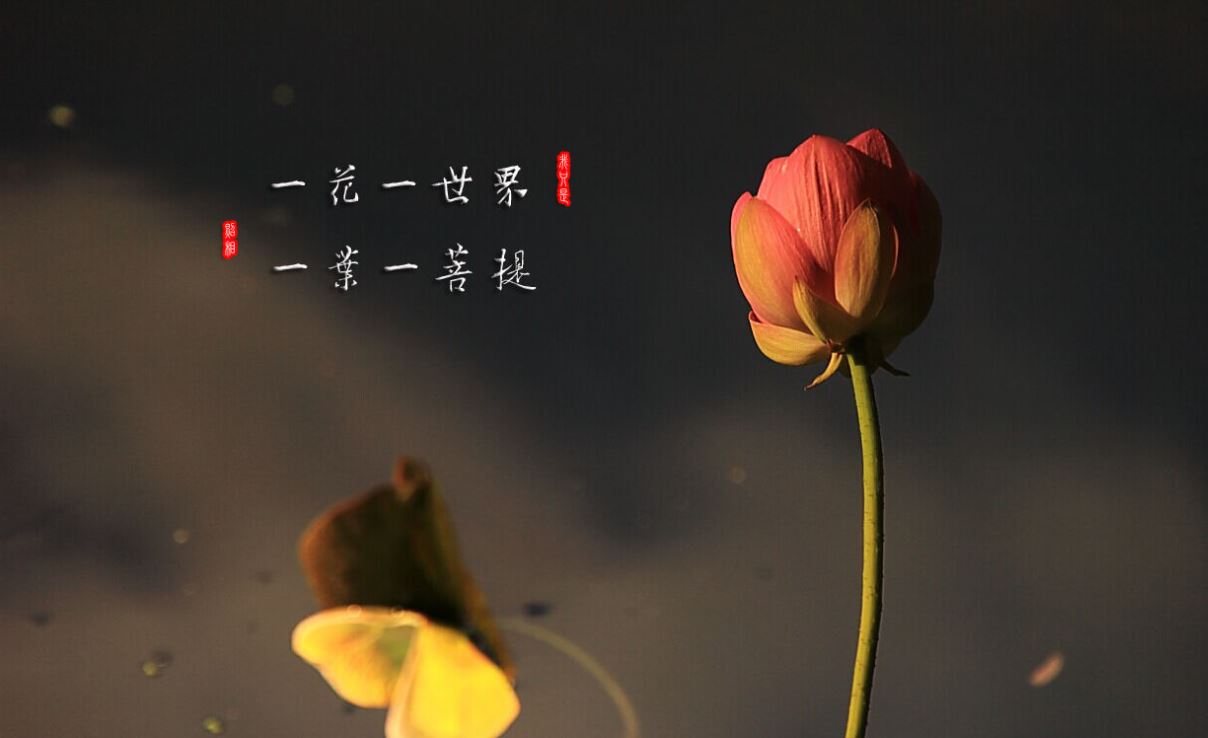 道法自然后半句,道法自然的后一句是什么