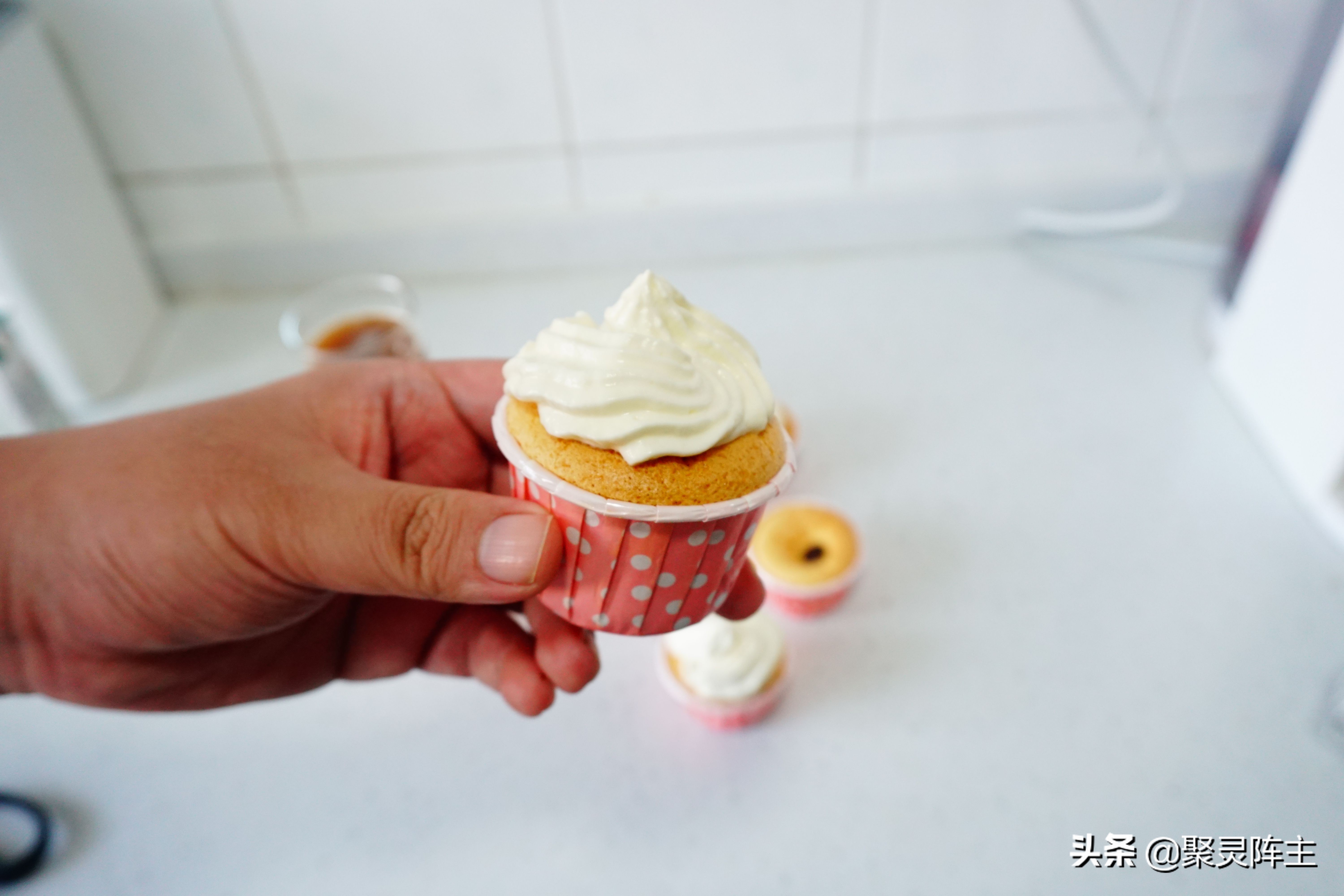 海氏烤箱测评,家用海氏烤箱测评