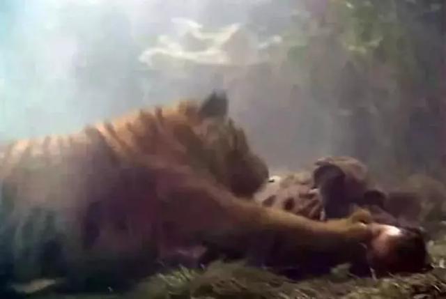 武松演员丁海峰身高多少,武松扮演者丁海峰简介