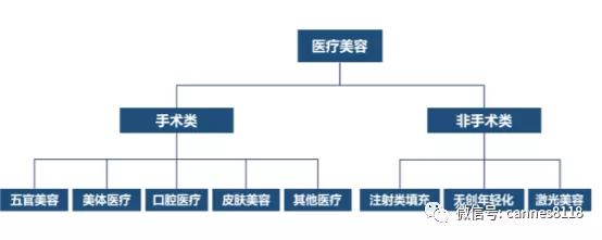 凯恩斯未来投资方向,凯恩斯预测的医药股