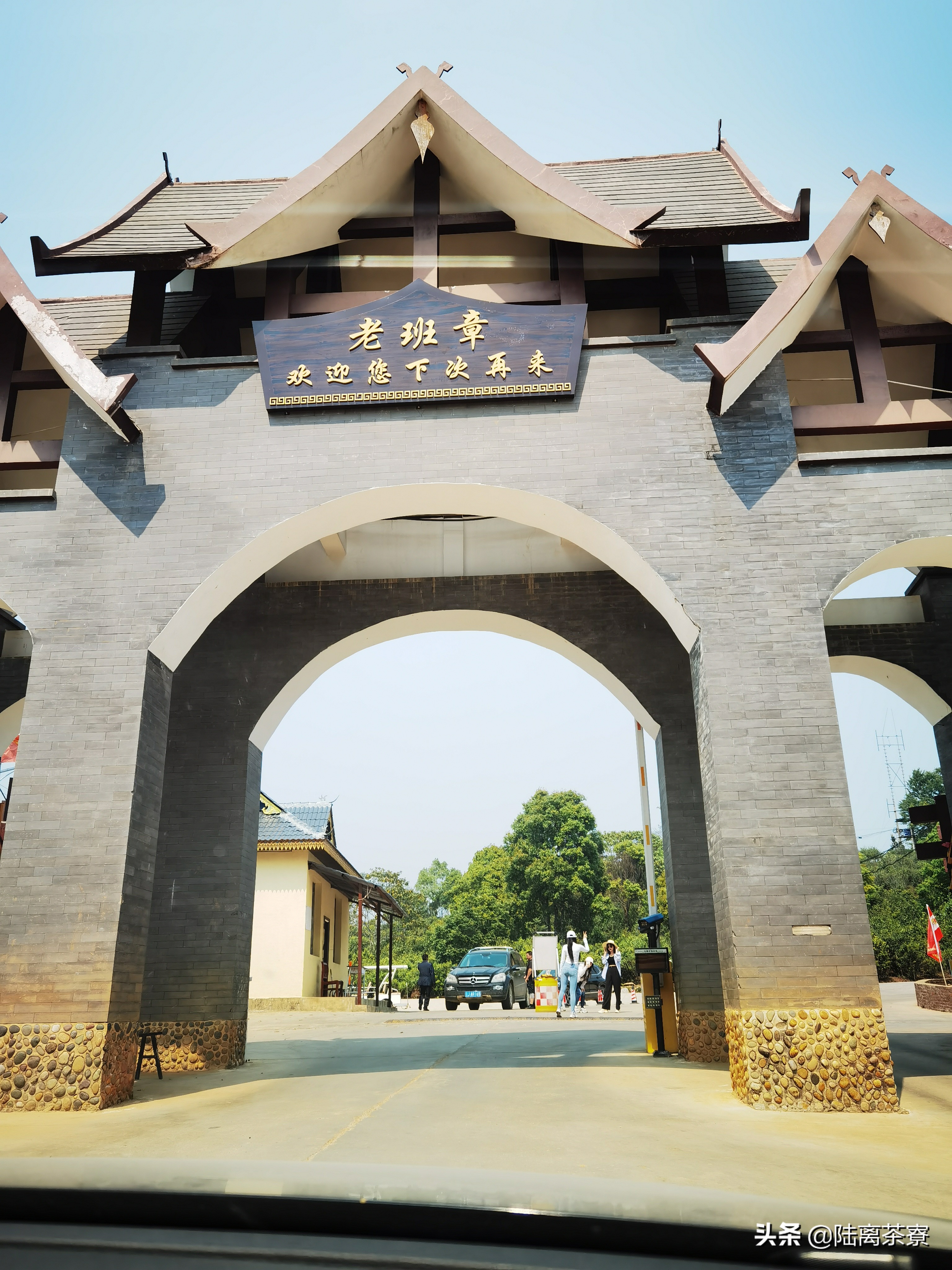 五千亿仓储，七千万炒作！揭秘普洱茶界最有潜力的顶级赛道