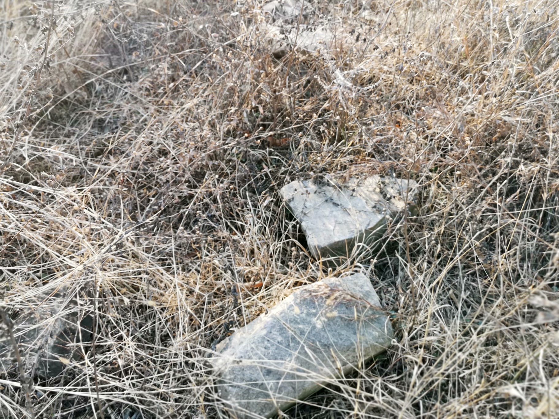 摩托周边旮旯游——探访蚌埠李楼鲁山寺遗址（上）