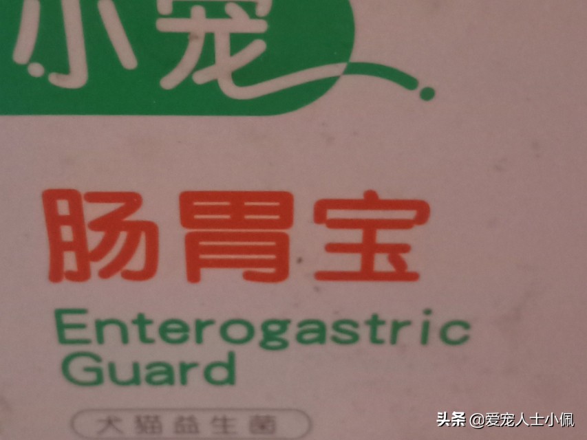 狗狗急性肠胃炎养狗攻略,成年狗狗肠胃炎自己怎么治疗