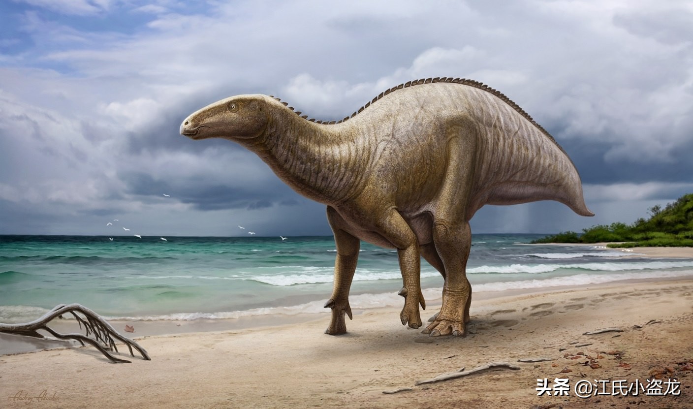 古生物生物学家,古生物科学家