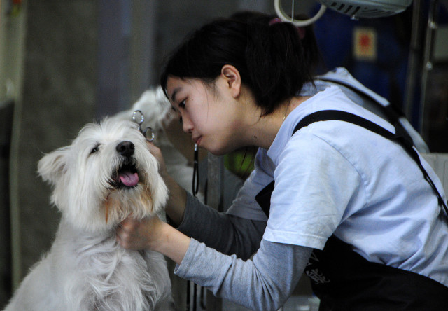 适合穷人创业的4个项目,别再傻傻的挣钱