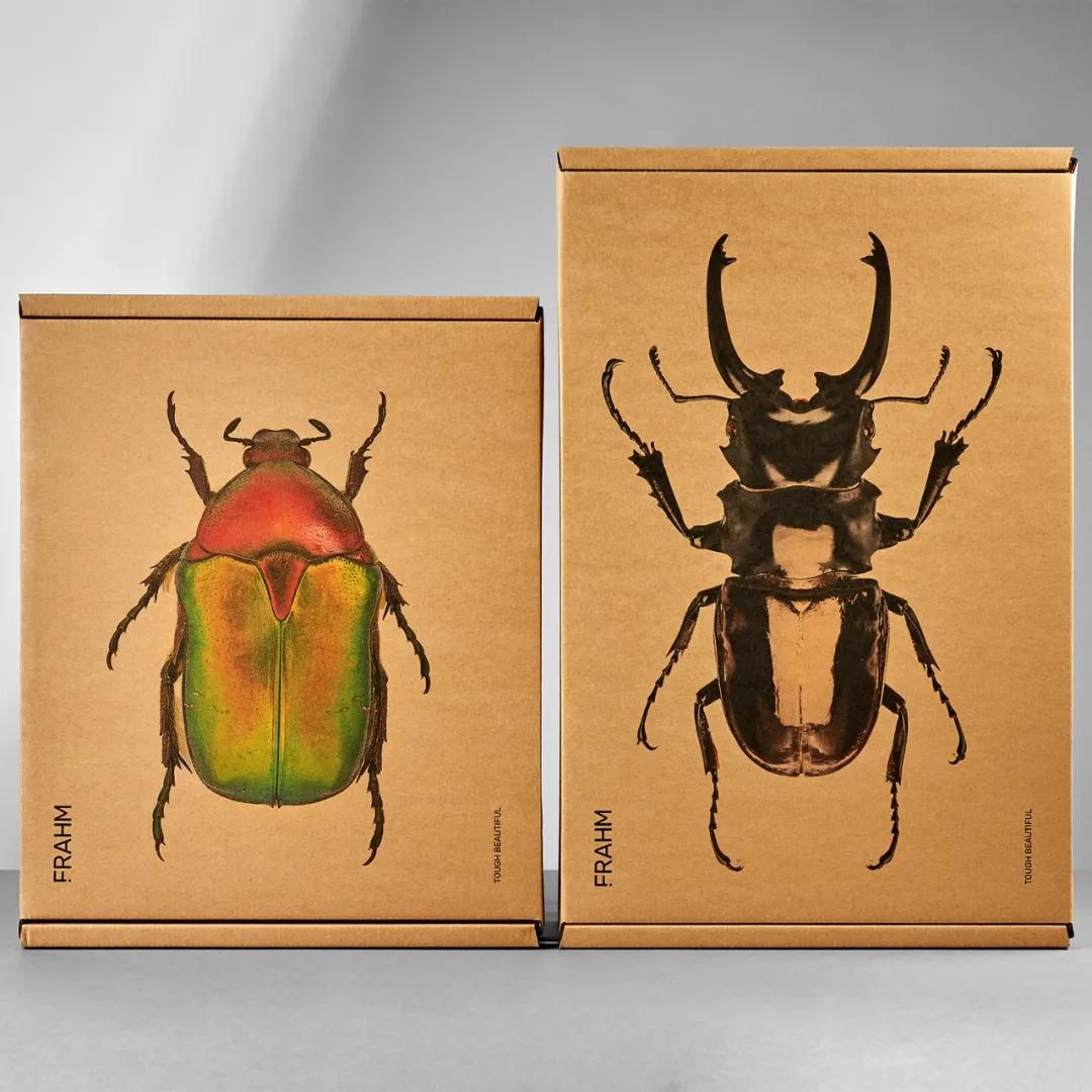 获得奥斯卡奖的中国作品,国际包装设计大奖