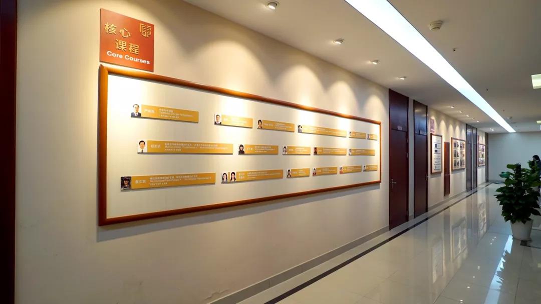 上海中医药大学康复医学院:“双国际”认证康复类专业,未来可期