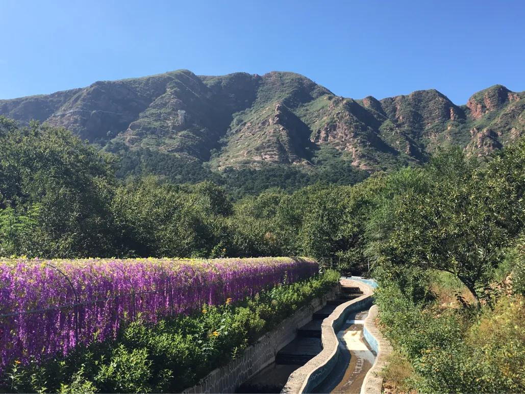 迁安山叶口吃什么,迁安山叶口山居农庄