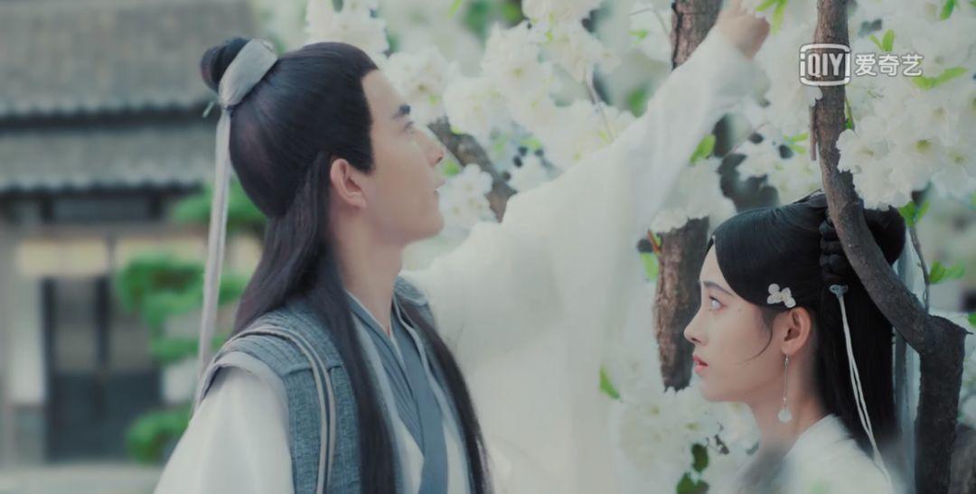 哪能看到新白娘子传奇,哪里能找到新白娘子传奇