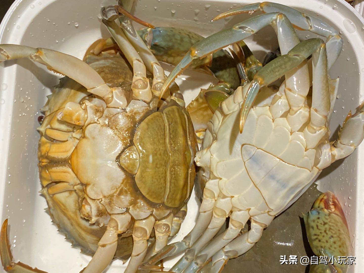 广州好玩的地方小众,广州小众景点排行榜