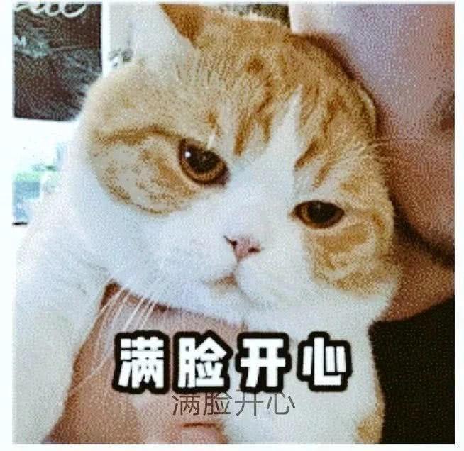 春天来了，家里的动物开始了兴奋，被困在家中的你该如何帮助它呢