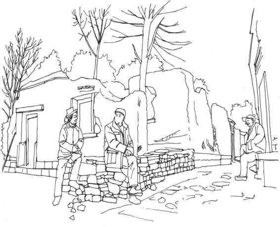 速写风景初学者入门教程,速写风景初学者入门教程植物