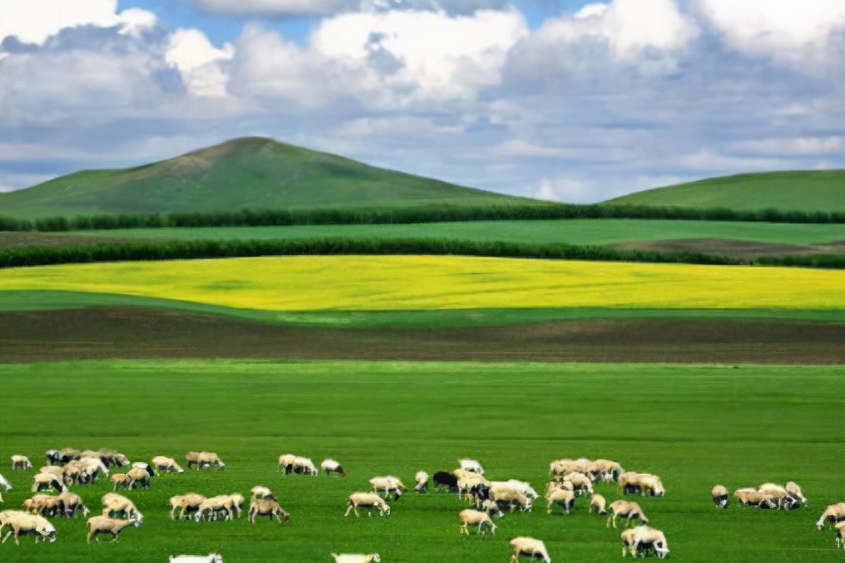 内蒙古旅游县城,内蒙古最适合居住的旅游城市