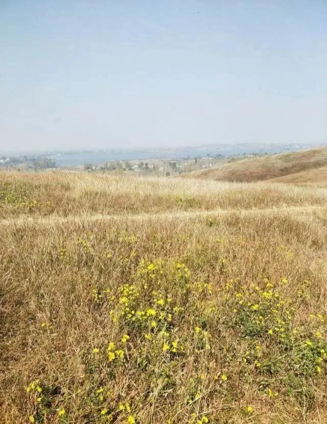 想不通就去爬山看海吧,呼伦贝尔大草原自驾游攻略