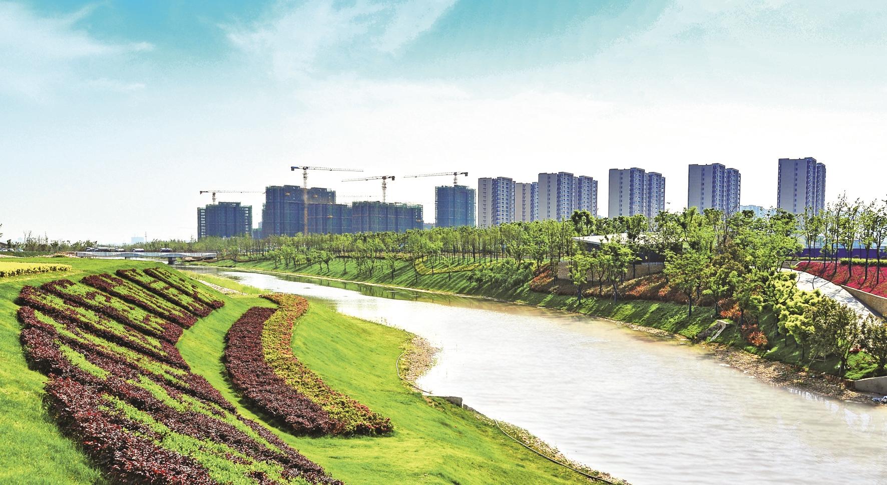 阳逻新城区,新洲新城