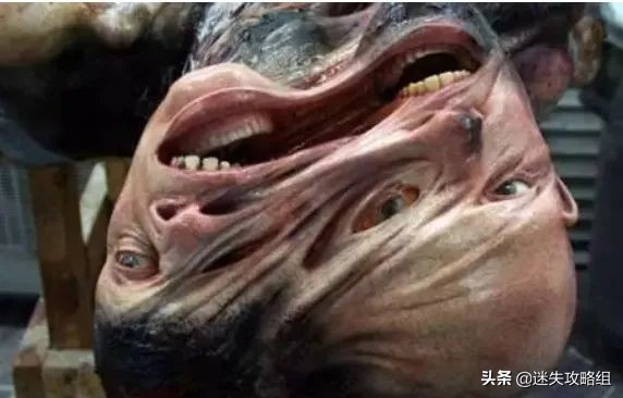 阴暗森林游戏的背景,阴暗森林游戏解析