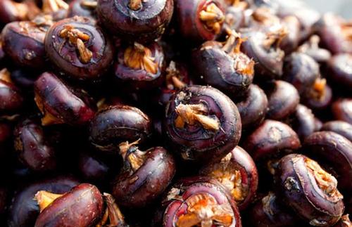 荸荠怎样防治枯萎烂根病,荸荠秆枯病有特效药吗