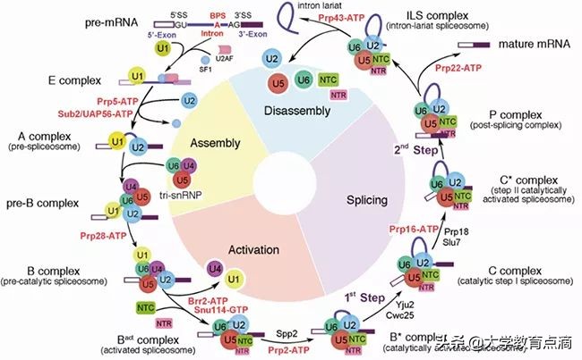 清华大学当前的前沿科技,清华大学科技成果