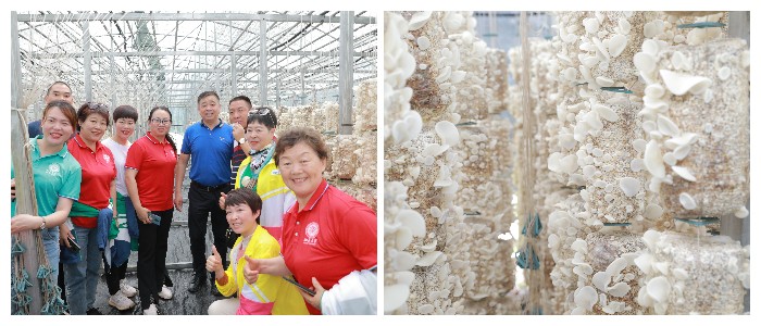 2021安惠公司优秀经销商北京-吉林尊享之旅圆满完成