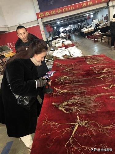 抚松万良人参批发市场在哪里,抚松万良人参市场直播