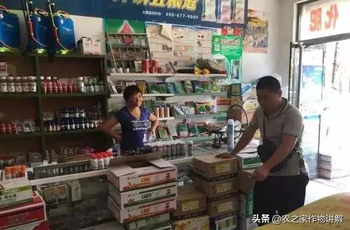 拍脑袋做决策的好处,拍脑袋做事情