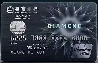 竹子科普有深度,竹子科普讲解