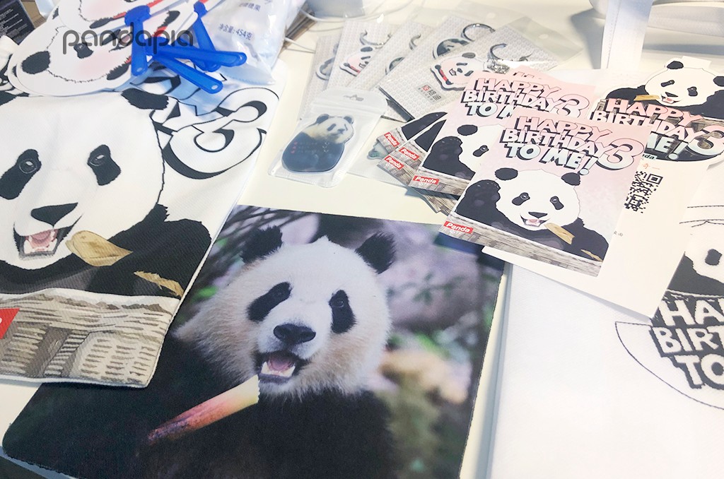 做塑料姐妹,真正的塑料姐妹是什么样的