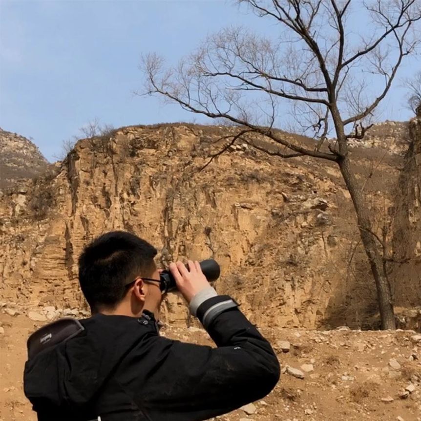 大量直销太行老料崖柏瘤疤木雕,北太行易县崖柏木雕