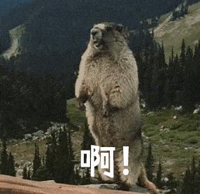 屈臣氏身体美白防晒好物推荐夏季,屈臣氏好物推荐护肤品干皮敏感肌