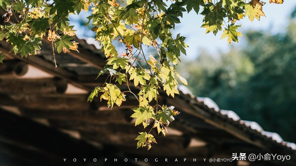 韩国旅游不可错过的景点,韩国不能错过的3部电影