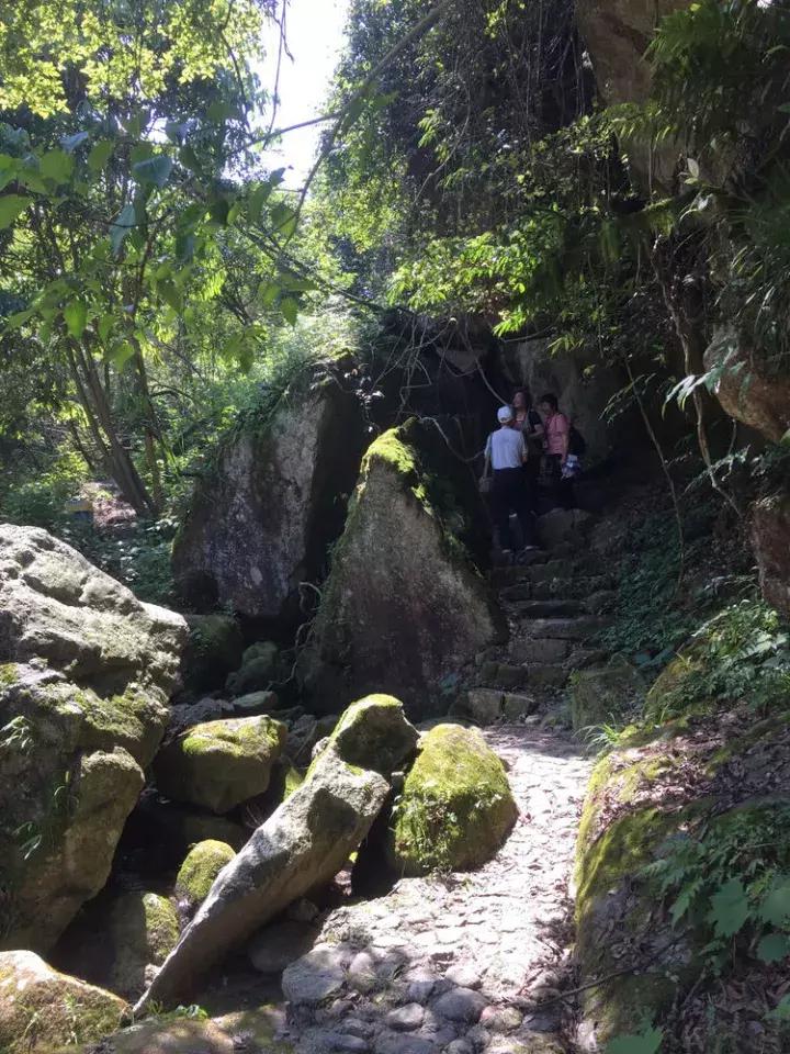 平江碧龙峡景区值得去玩吗,平江碧龙峡全长多少公里