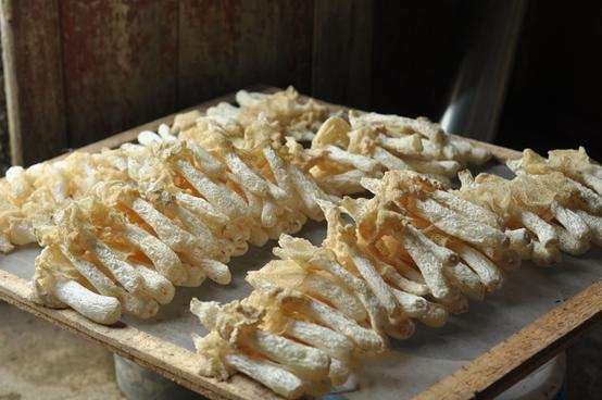 从2000块钱开店到年销600万,村官在淘宝把“雪裙仙子”卖火了